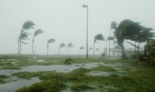 Во Флориде парень бросил вызов урагану и проиграл/>
			</div>
			

			<!-- END PAGE POSTER -->

			<div class=